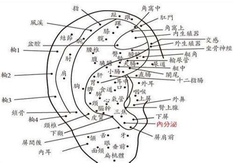 右耳痣|耳朵痣的位置与命运图解大全